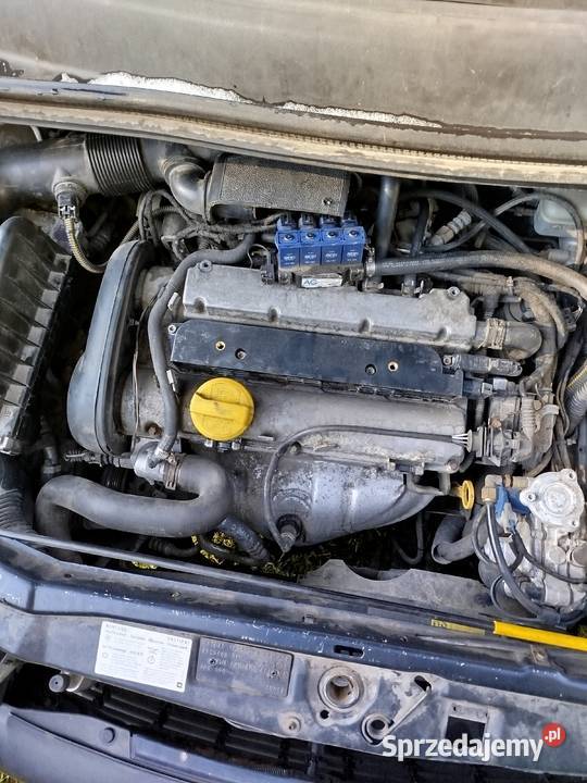 Opel Zafira a 16 BENLPG Strzyżewice
