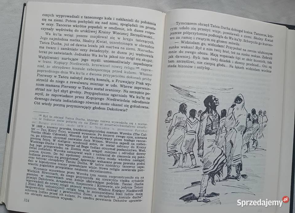 Ki A Szklarscy Złoto Gór Czarnych Tom 3 Ostatnia Koźminek