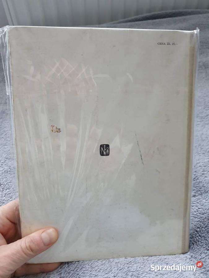 Konik Garbusek ilustracje Szancer 1969 Gdynia