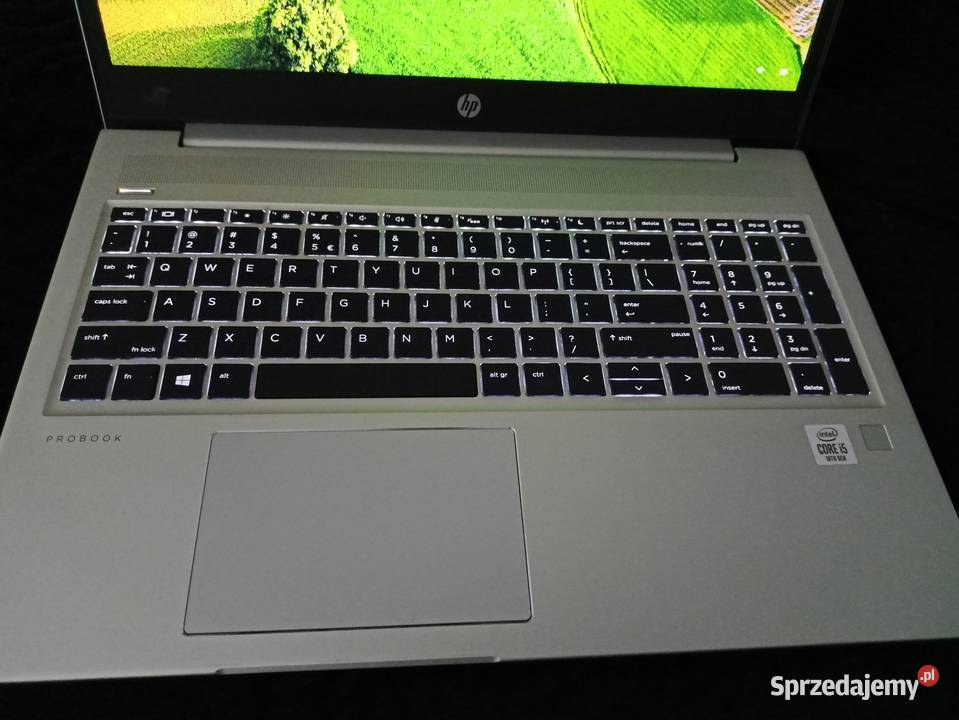 Laptop HP ProBook 450 G7 i5 256 SSDWin11 podkarpackie