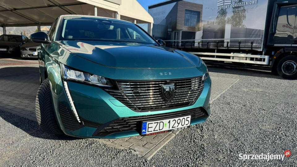 Peugeot 308 P5 2021 Zduńska Wola