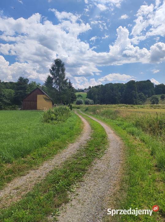Działka rolna w Iłownica
