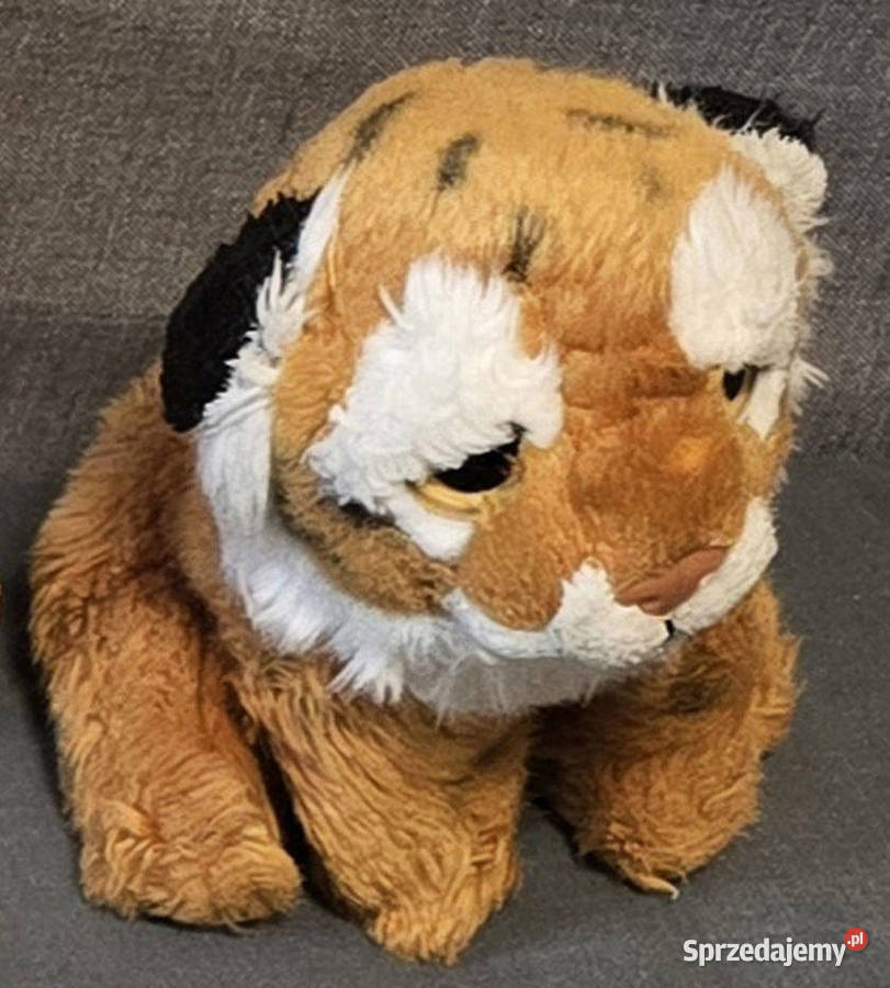 PLUSZAKI GANG Brokuł Tygrys Bauer Disney i inne Poznań
