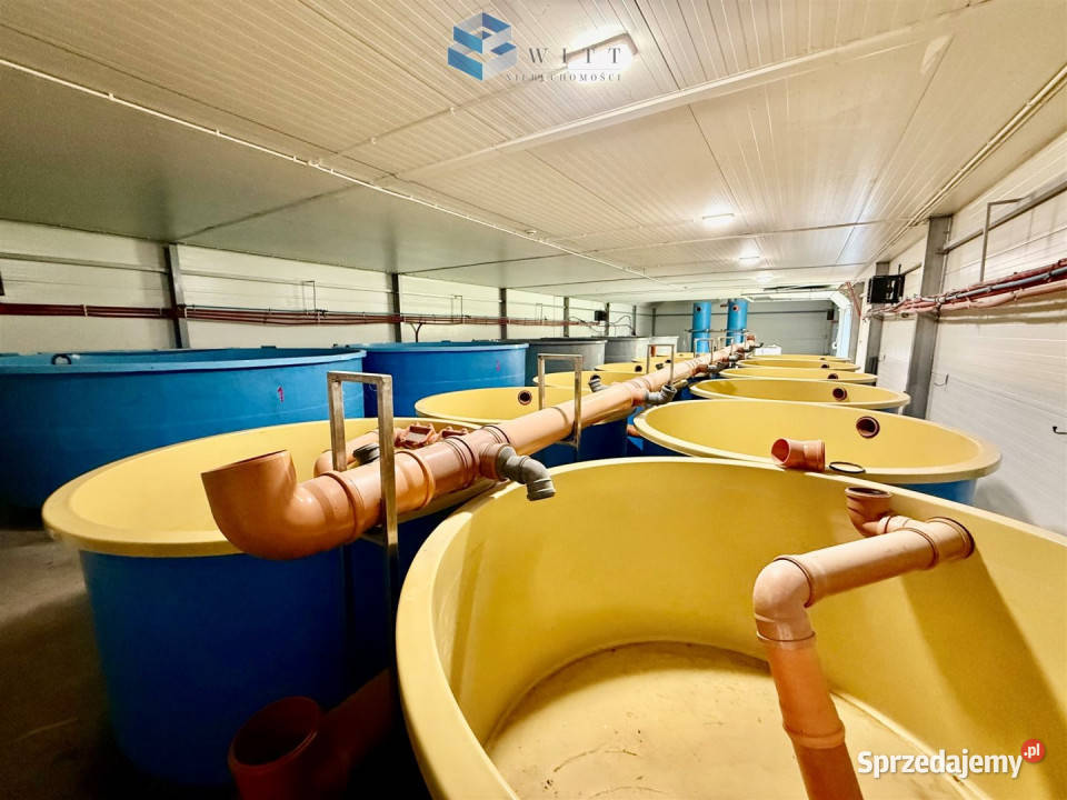 Lokal 342 metry Łukta