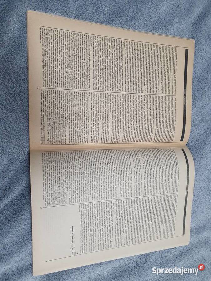 Literatura 384 Elvis Sukces i Zabawy Gdynia