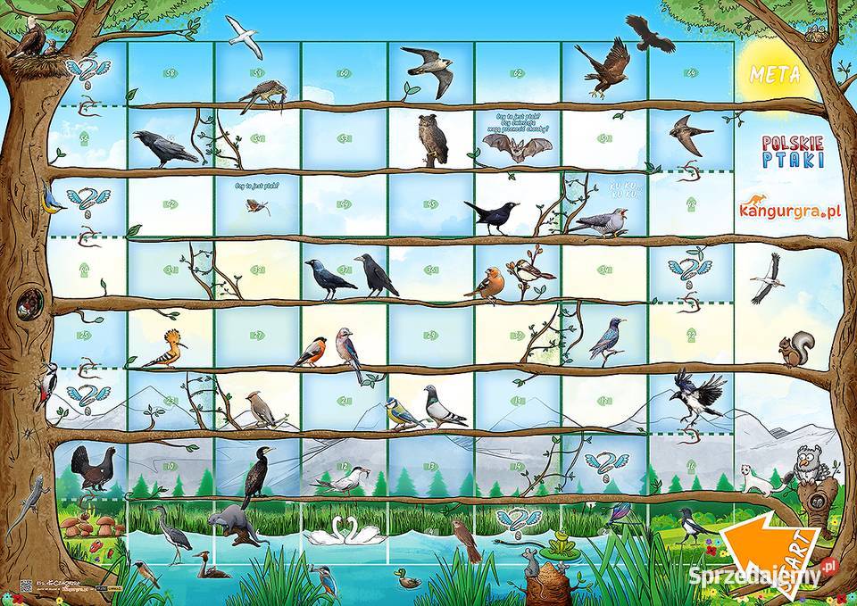 gra XXL POLSKIE PTAKI DZIECI do skakania nauki Warszawa