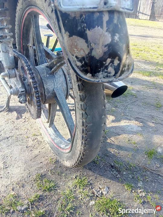 chińczyk chinol 5072 Kraśnik