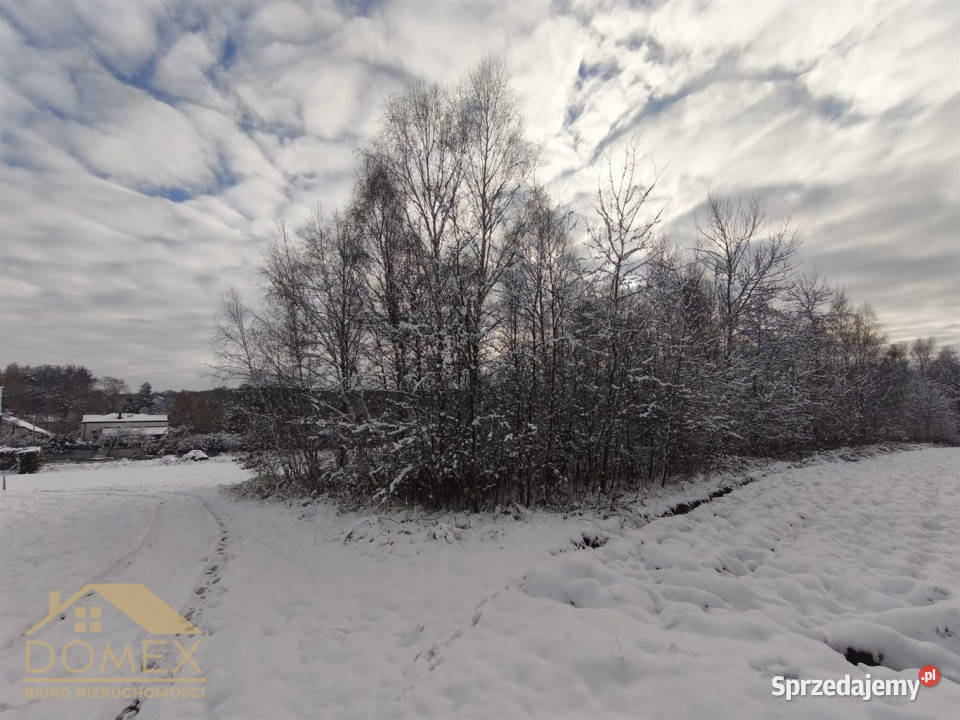 Działka Radlin 3467m2