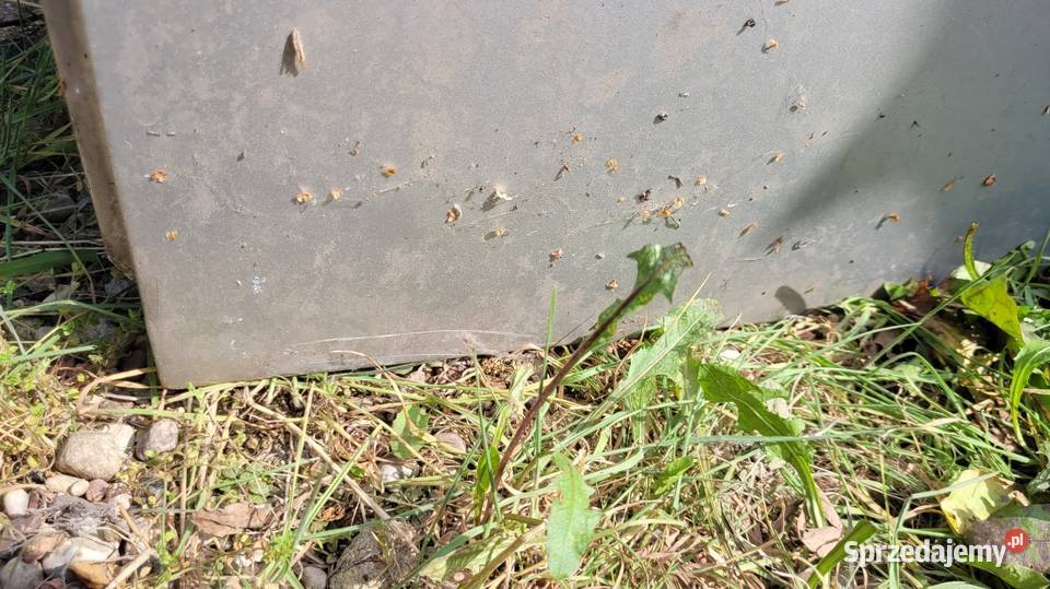 Drzwi Skoda Fabia I mazowieckie