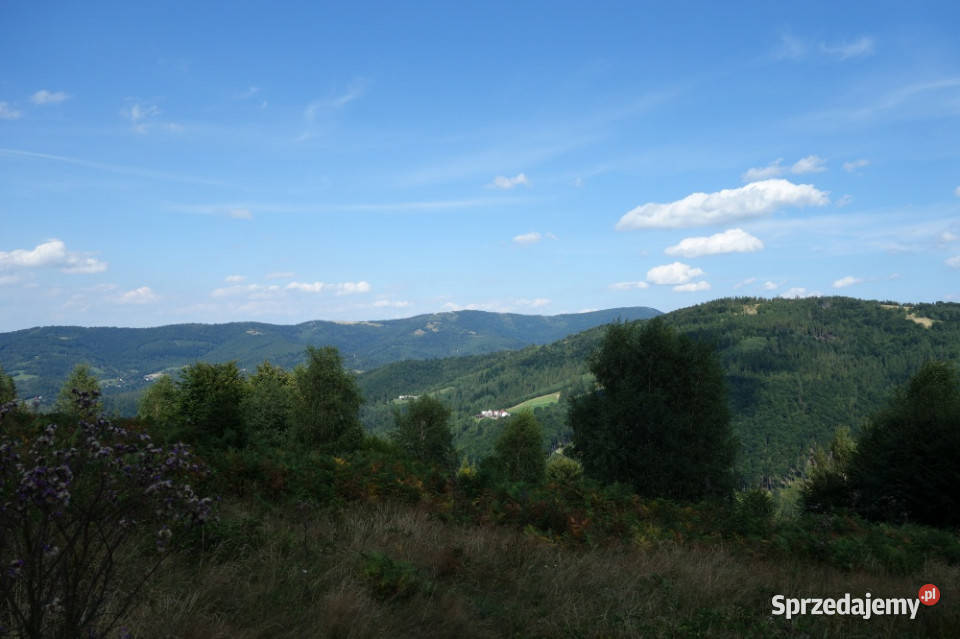 Brenna 253 ha działka inwestycyjna wyciągu Kraków sprzedam