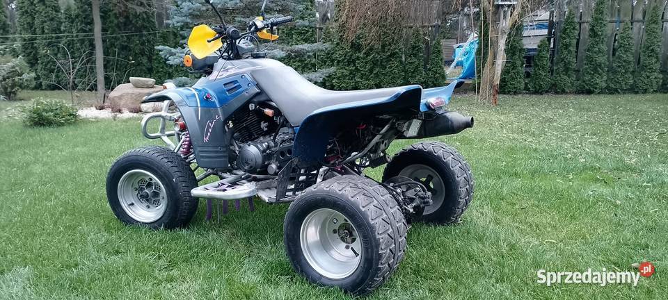 quad Yamaha Warrior 350