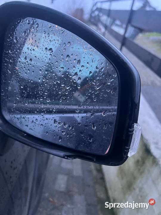 Renalt Scenic3 2011 260km Gorzów Wielkopolski