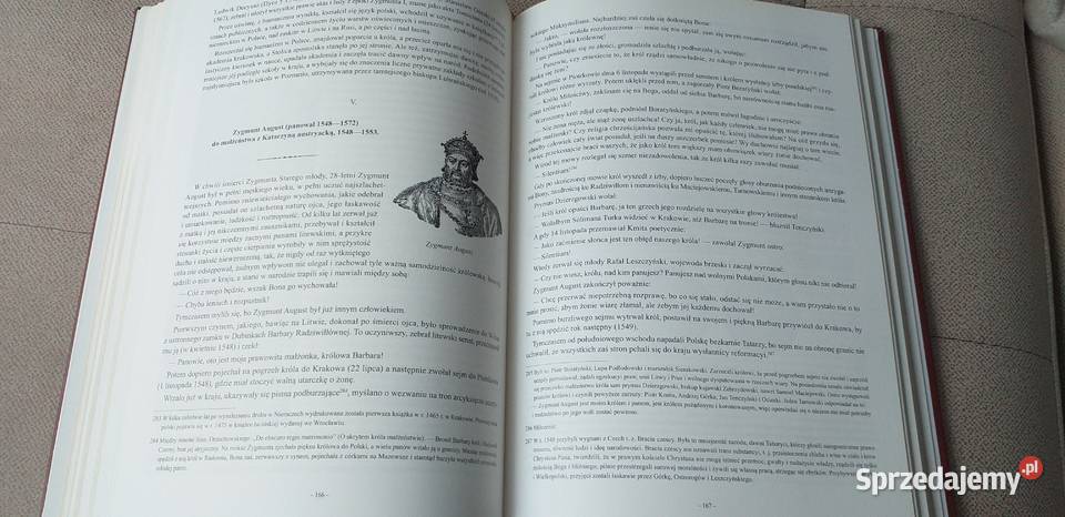 Dzieje Polski tom 12 Kraków