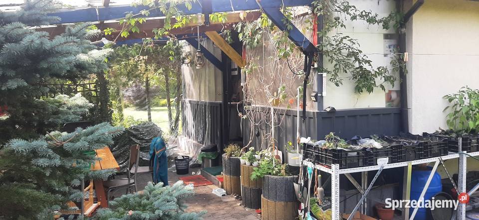 Działki 1000m2 z domkiem 65m2 w Tuszynie łódzkie