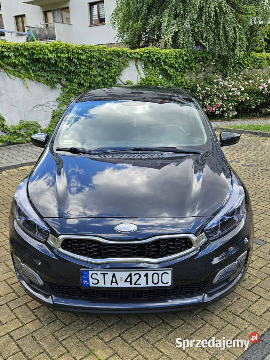Kia Ceed Salon Polska Oryg Lakier II 2012
