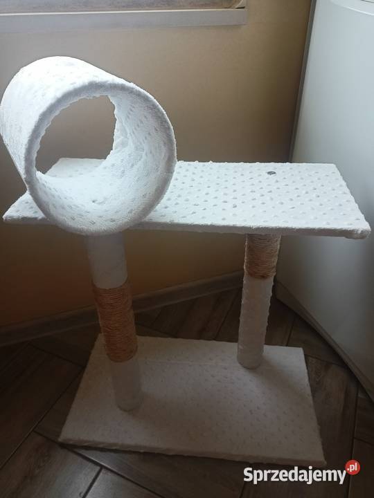 Drapak kota Włocławek