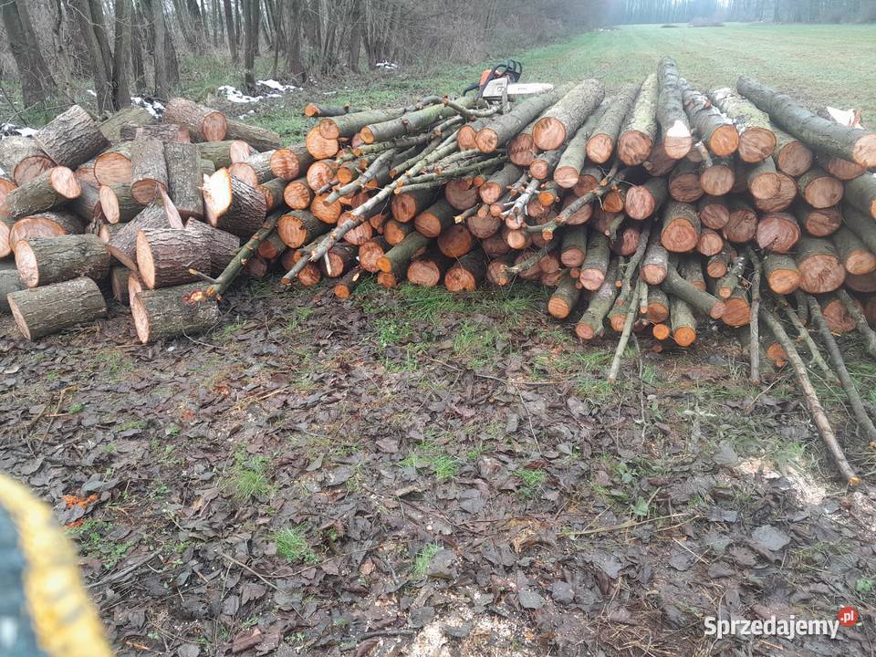 Sprzedam Drewno olszyny Chełmno sprzedam