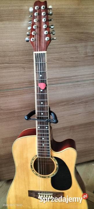Gitara 12 strunowa Kielce