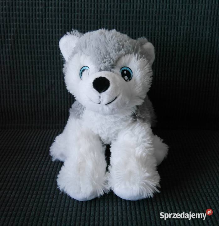 Maskotka piesek husky nowy Wrocław sprzedam