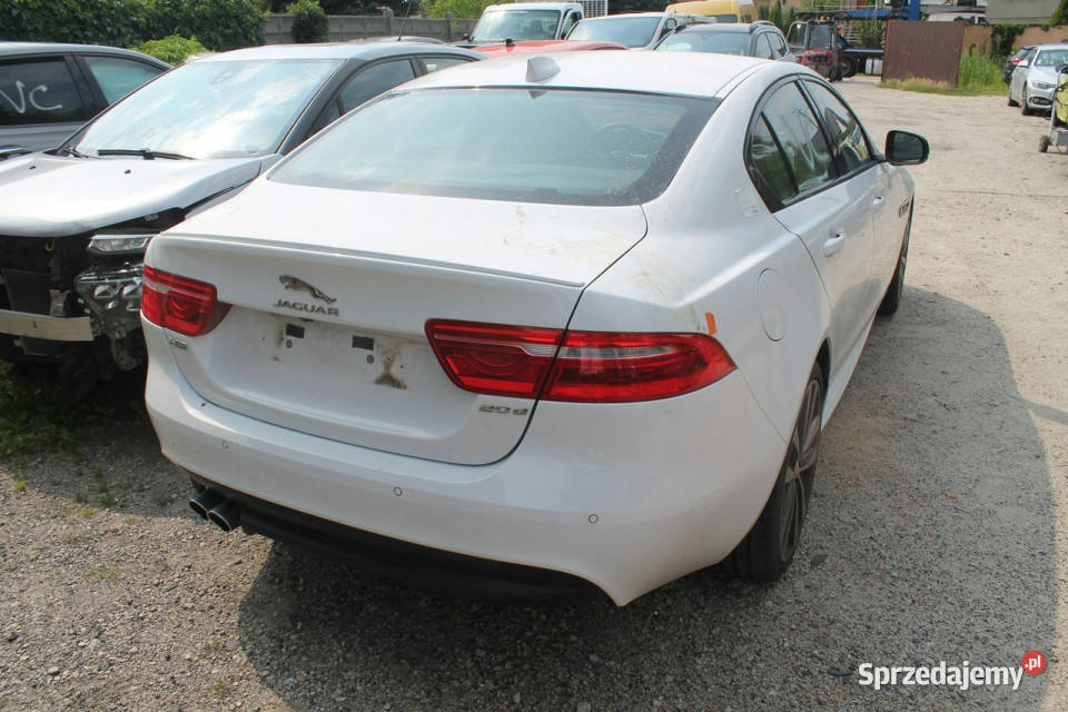 Jaguar XE I 2014 Ostrów Wielkopolski