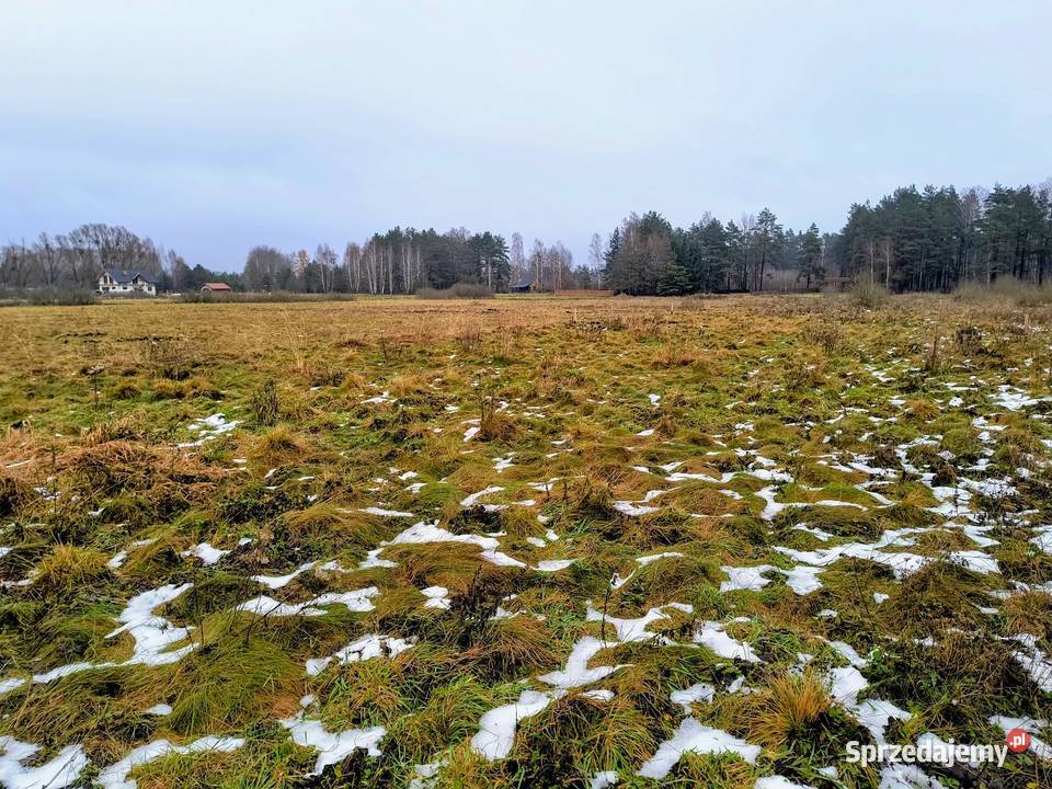 Działka rekreacyjna 3004 m2 w Karwiku 3004m2 warmińsko-mazurskie Karwik
