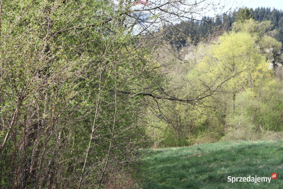 Kompleks działek w miejscowości Skomielna Biała sprzedam