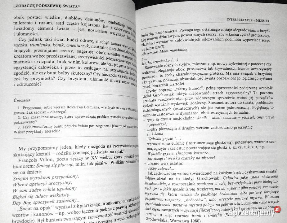 Szkolny przewodnik poezji XX w Antologie eseje Chełm