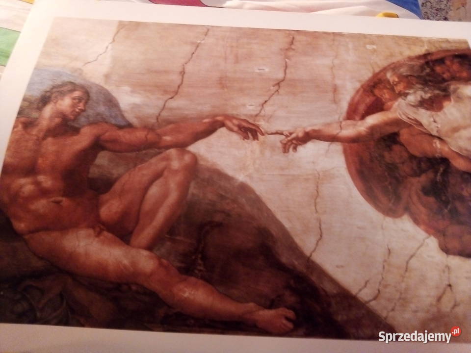 Żebro Adamastworzenie Adama mazowieckie Warszawa sprzedam