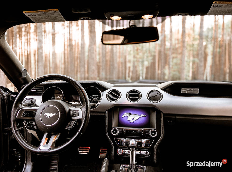 Samochód Sportowy do Ślubu na wesele MUSTANG Legnica