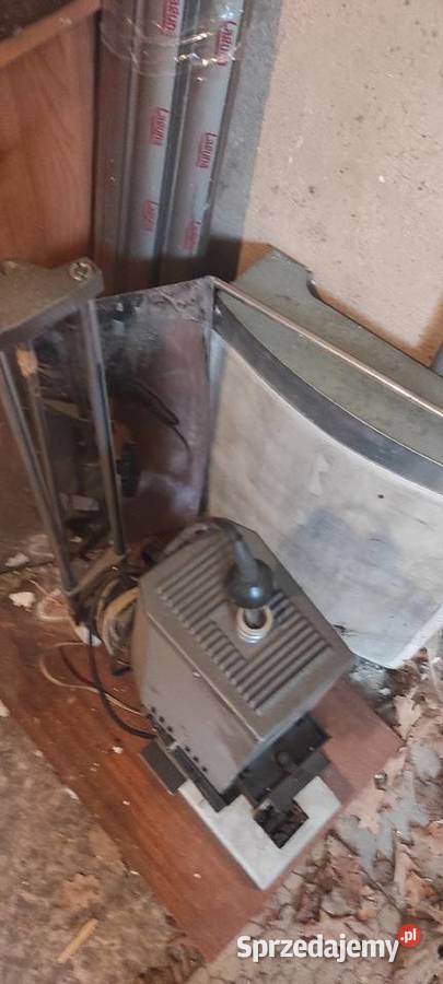 Foto Krokus powiększalniksuszarka