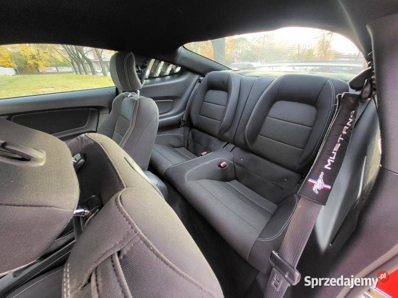 Fastback V6 37l 304Dokumentacja pochodzeniowa Warszawa