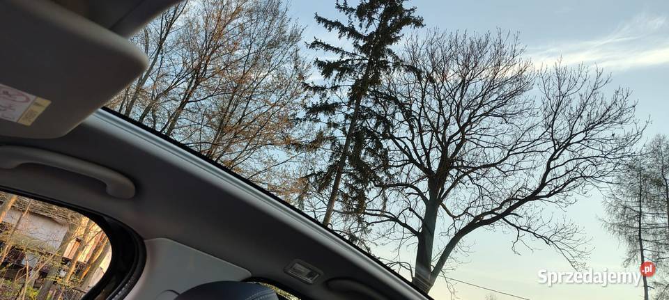 Peugeot 3008 Andrychów