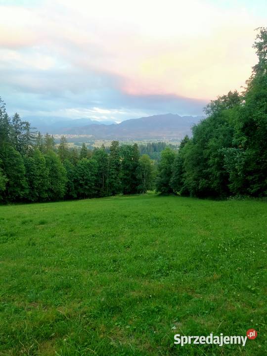 ZAKOPANE GLAMPINGPiękna działka widokowa u stóp Sprzedaż Suche