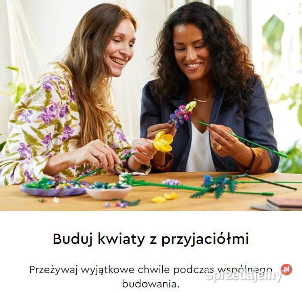 KLOCKI KREATYWNE NA PREZENT ŚWIĘTA LEGO 10313 mazowieckie Warszawa sprzedam