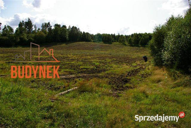 Działka rolna Lejkowo Grunty i działki