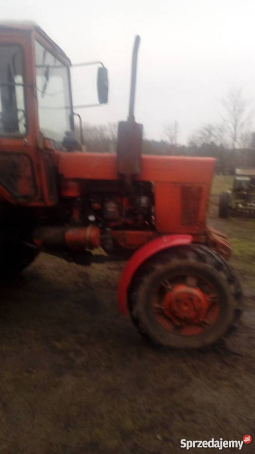 Sprzedam MTZ 82 nieuszkodzony Więckowo
