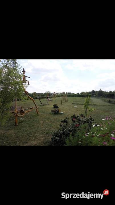 Ogródek działkowy ROD PSZCZÓŁKA GLIWICE ŁABĘDY sprzedam