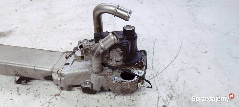 CHŁODNICA SPALIN EGR AUDI VW 20 TDI 03L131512AF