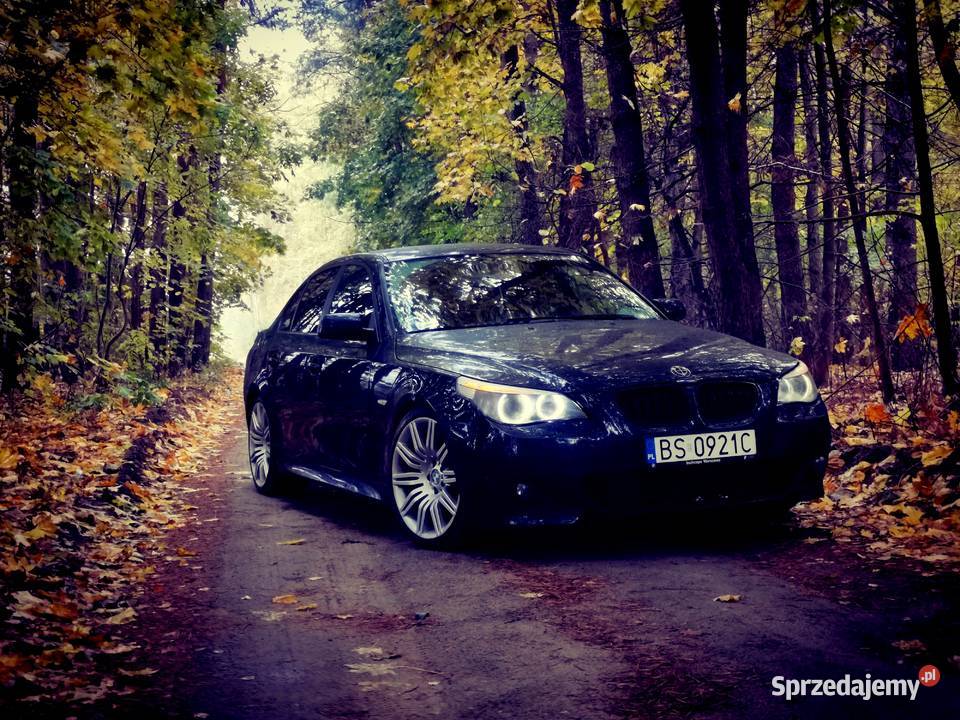 BMW e60 530d m pakiet vin Rok produkcji 2004 Białystok