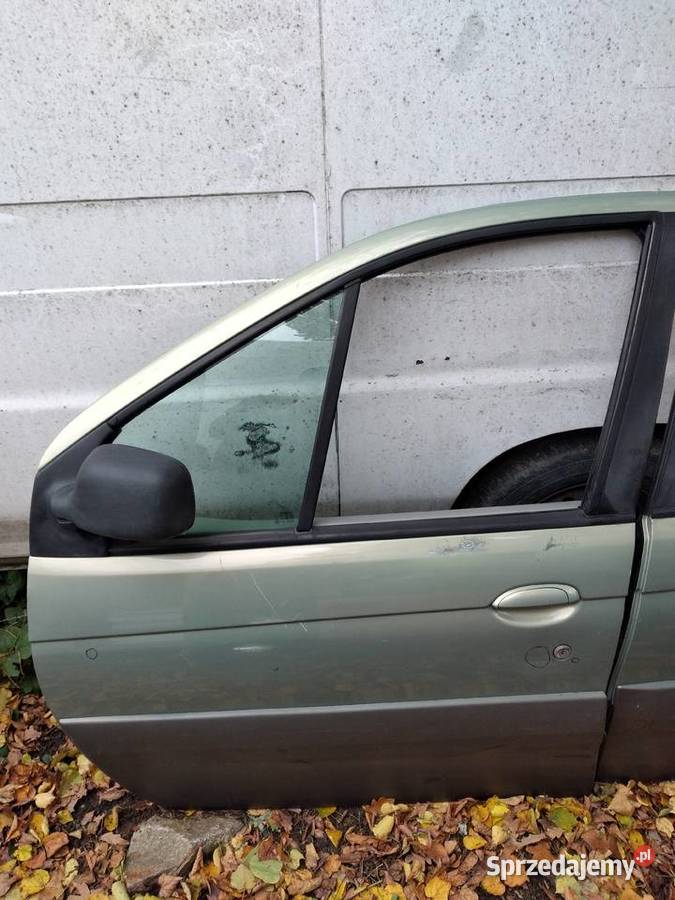 RENAULT MEGANE SCENIC RX4 DRZWI LEWY PRZÓD I TYŁ Mietków sprzedam