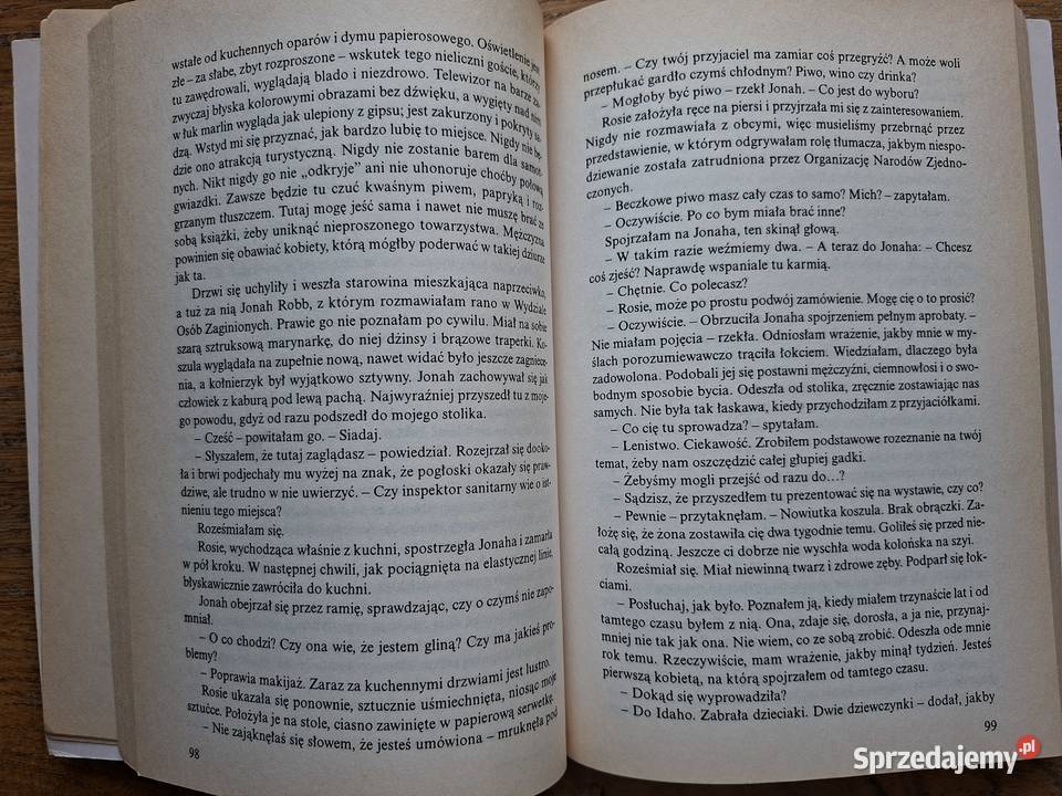 W włamywacz Sue Grafton Kraków