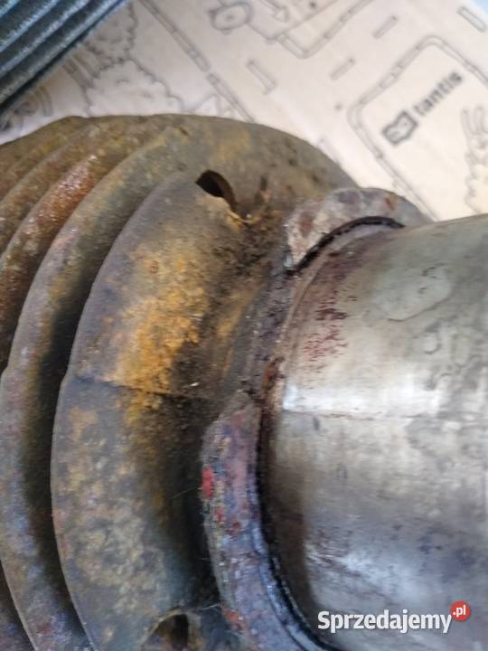 Junak m10 głowica cylinder całość kujawsko-pomorskie Kruszwica