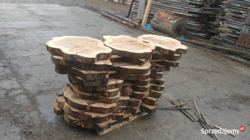 Plastry talary krążki drewna Pieńki na stolik Izdebnik