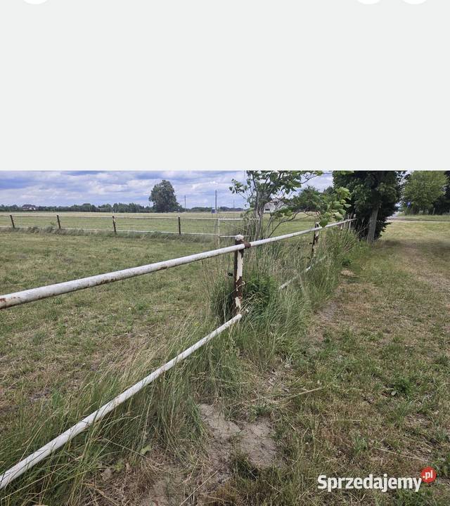 Ogrodzenie koni Padok Akcesoria dla zwierząt mazowieckie Sochaczew