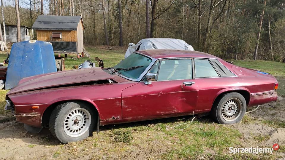 Jaguar xjs 36 Piotrków Trybunalski