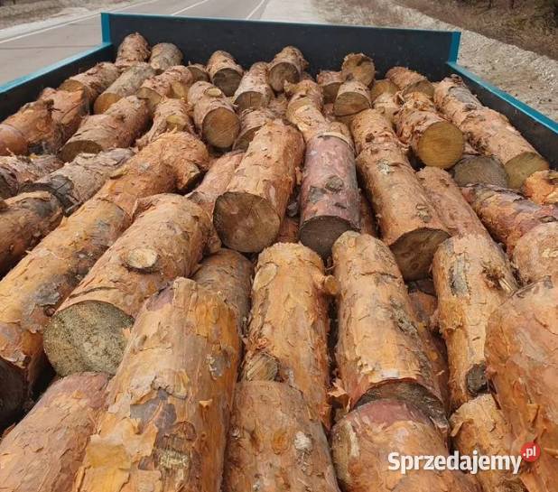 Drewno opałowe kominkowe Szczytno i warmińsko-mazurskie