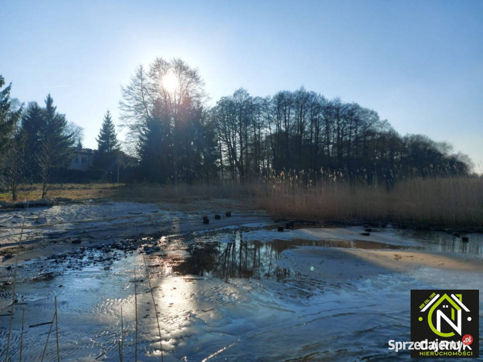 Ogłoszenie działka 5011m2 Brzózki 5011m2