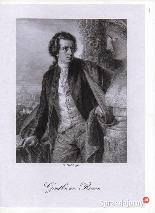 Kopie stalorytówGaleria Schillera autorstwa Wrocław sprzedam