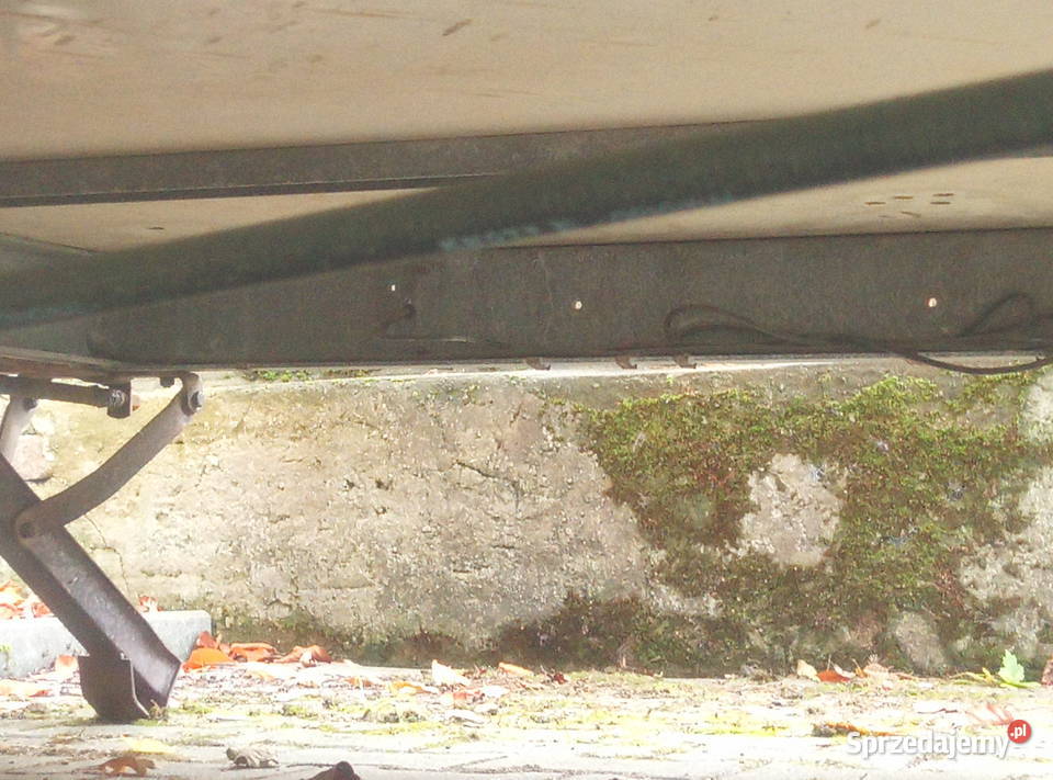 Przyczepa gastro Zgorzelec sprzedam