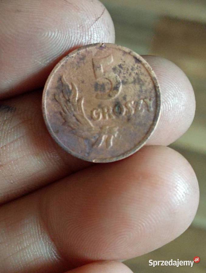 Sprzedam monete 5 groszy 1949r bzm Numizmatyka lubelskie